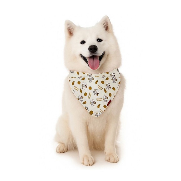 Peanuts Snoopy Pumpkin Pet Bandana - White and Orange - Picture 1 of 5